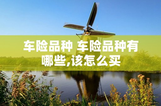 车险品种 车险品种有哪些,该怎么买