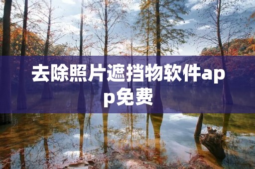去除照片遮挡物软件app免费:打造清晰无障碍的完美照片