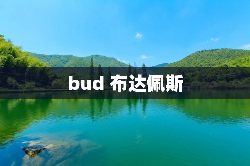 bud 布达佩斯