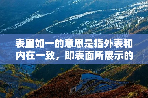 表里如一的意思是指外表和内在一致,即表面所展示的与内心真实想法相符。这个成语源于中国古代的哲学思想,被广泛运用于各个领域,如人际关系、商业行为、艺术创作等。在人们的日常生活中,表里如一的态度和行为被视为一种品质和美德。