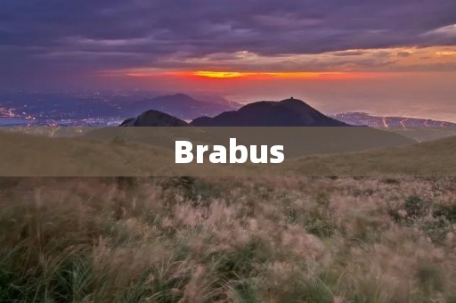 Brabus:豪华车市场的领军者 Brabus:豪华车市场的领军者