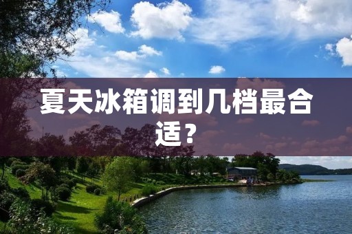 夏天冰箱调到几档最合适? 夏天冰箱调到几档最合适?