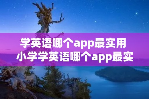学英语哪个app最实用 小学学英语哪个app最实用
