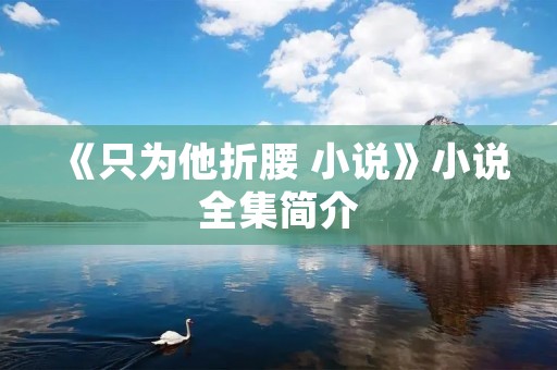 《只为他折腰 小说》小说全集简介