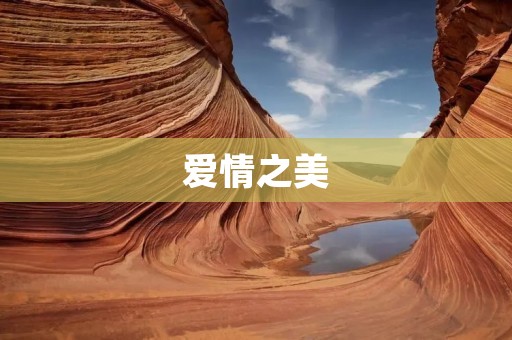 爱情之美:古诗词中的情感绽放 爱情之美:古诗词中的情感绽放