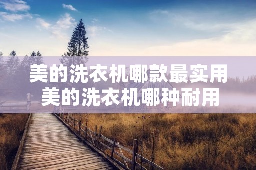 美的洗衣机哪款最实用 美的洗衣机哪种耐用点