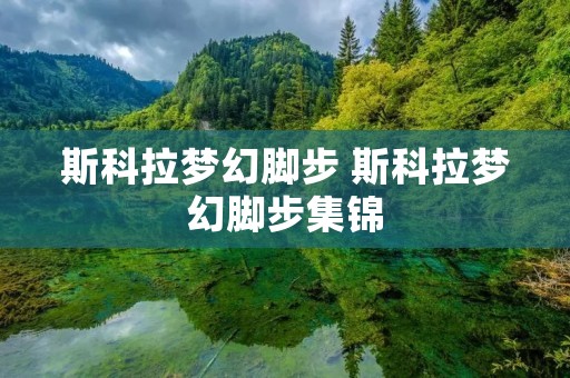 斯科拉梦幻脚步 斯科拉梦幻脚步集锦 斯科拉梦幻脚步 斯科拉梦幻脚步集锦