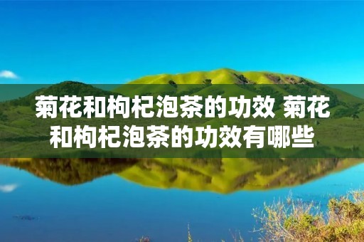 菊花和枸杞泡茶的功效 菊花和枸杞泡茶的功效有哪些