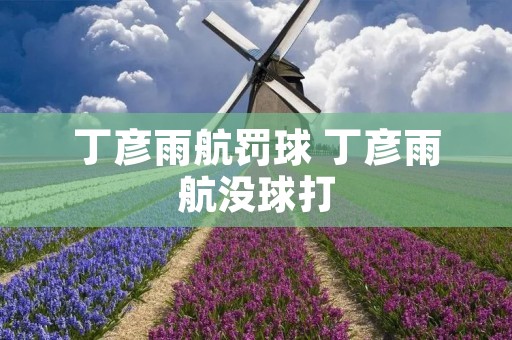 丁彦雨航罚球 丁彦雨航没球打