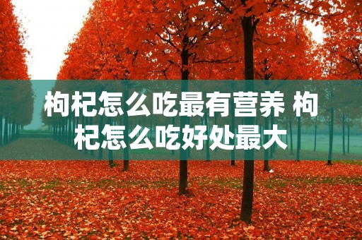 枸杞怎么吃最有营养 枸杞怎么吃好处最大 枸杞怎么吃最有营养 枸杞怎么吃好处最大