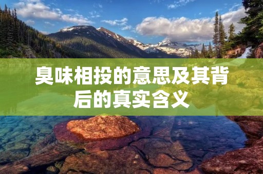 臭味相投的意思及其背后的真实含义