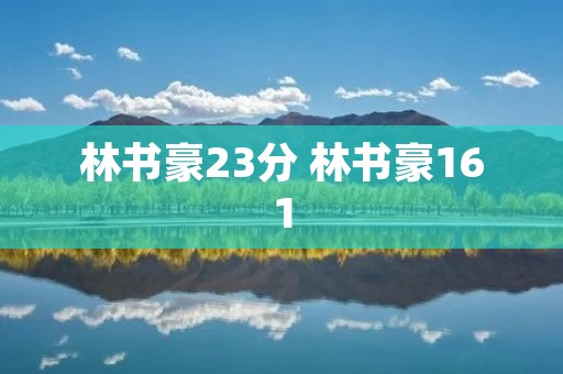 林书豪23分 林书豪161