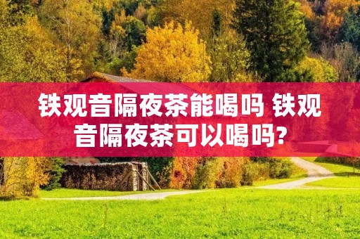 铁观音隔夜茶能喝吗 铁观音隔夜茶可以喝吗?