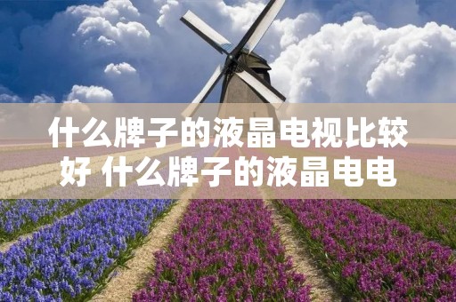 什么牌子的液晶电视比较好 什么牌子的液晶电电视好 什么牌子的液晶电视比较好 什么牌子的液晶电电视好