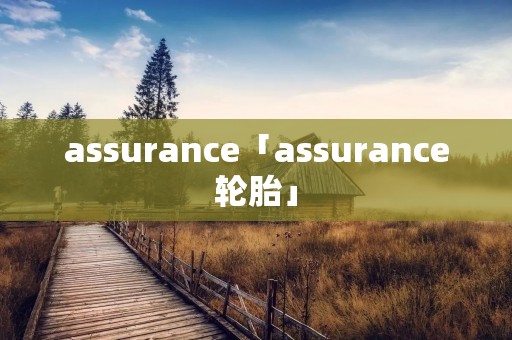 assurance「assurance轮胎」