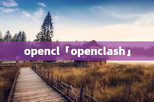 opencl「openclash」