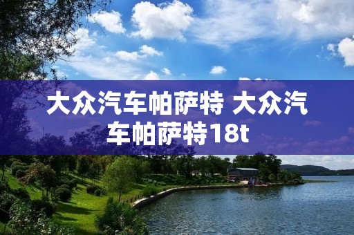 大众汽车帕萨特 大众汽车帕萨特18t