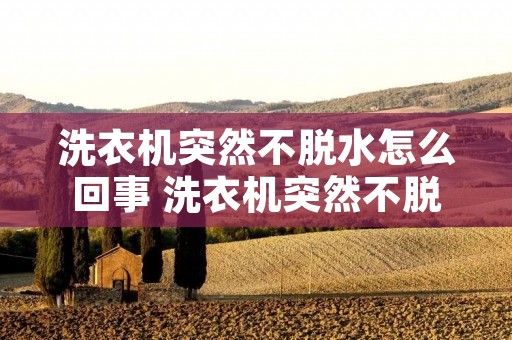 洗衣机突然不脱水怎么回事 洗衣机突然不脱水怎么回事视频