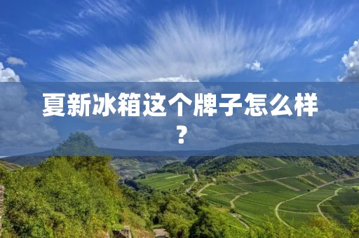 夏新冰箱这个牌子怎么样？