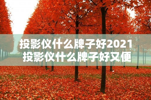 投影仪什么牌子好2021 投影仪什么牌子好又便宜