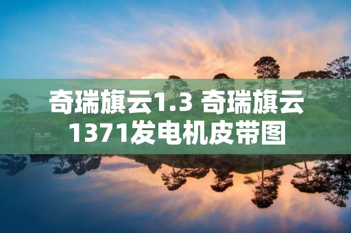 奇瑞旗云1.3 奇瑞旗云1371发电机皮带图