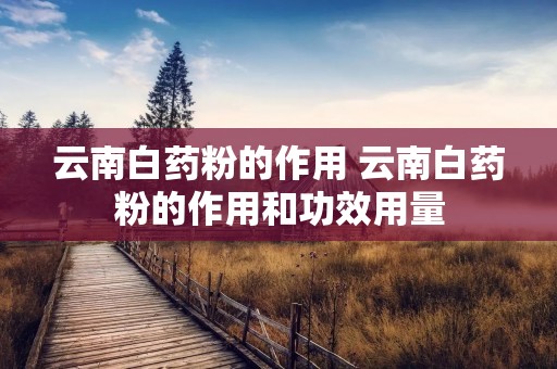 云南白药粉的作用 云南白药粉的作用和功效用量