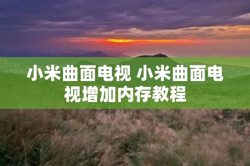 小米曲面电视 小米曲面电视增加内存教程