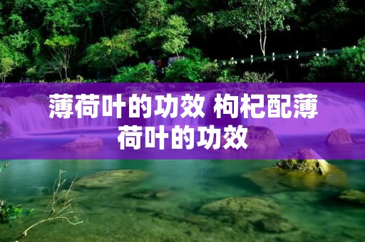 薄荷叶的功效 枸杞配薄荷叶的功效