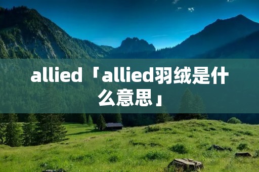 allied「allied羽绒是什么意思」