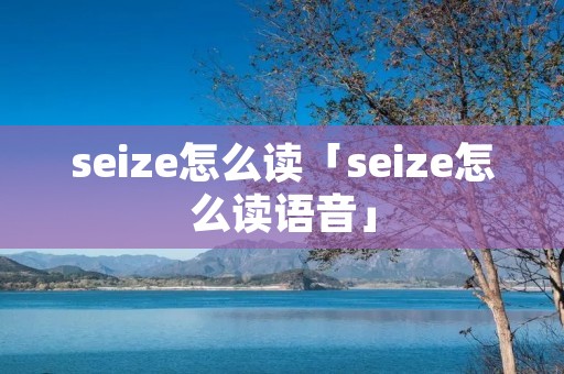 seize怎么读「seize怎么读语音」