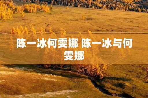 陈一冰何雯娜 陈一冰与何雯娜