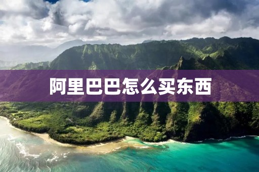 阿里巴巴怎么买东西:详细指南
