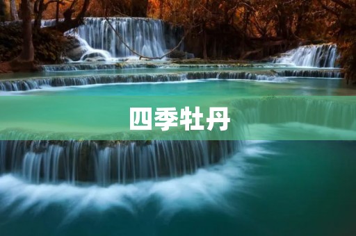 四季牡丹：花开如画，四季皆美