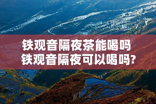 铁观音隔夜茶能喝吗 铁观音隔夜可以喝吗?