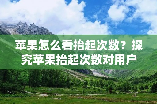 苹果怎么看抬起次数?探究苹果抬起次数对用户体验的重要性