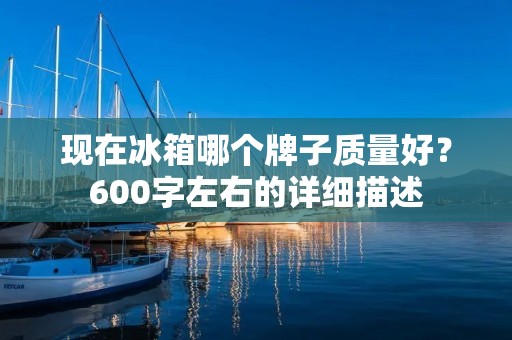 现在冰箱哪个牌子质量好？600字左右的详细描述