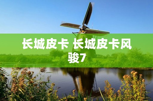 长城皮卡 长城皮卡风骏7