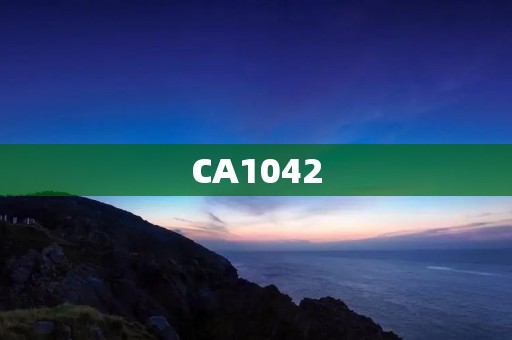 CA1042：带你了解最新款智能手机