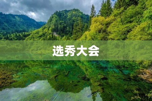 选秀大会：新一代明星的舞台