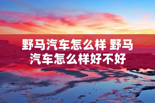 野马汽车怎么样 野马汽车怎么样好不好 野马汽车怎么样 野马汽车怎么样好不好