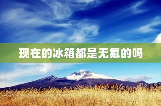 现在的冰箱都是无氟的吗 现在的冰箱都是无氟的吗