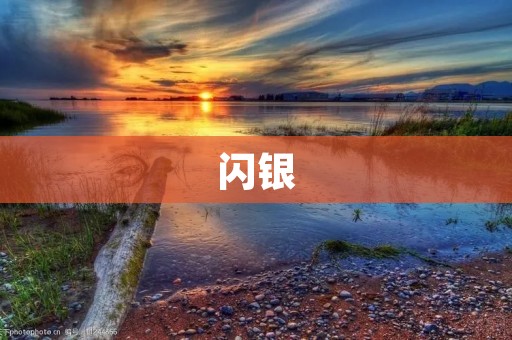 闪银:引领金融科技创新的先锋