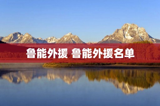 鲁能外援 鲁能外援名单