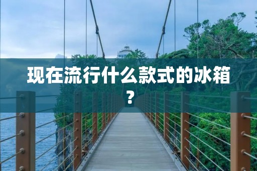 现在流行什么款式的冰箱? 现在流行什么款式的冰箱?
