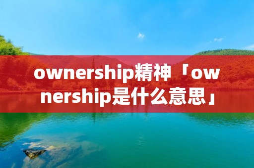 ownership精神「ownership是什么意思」
