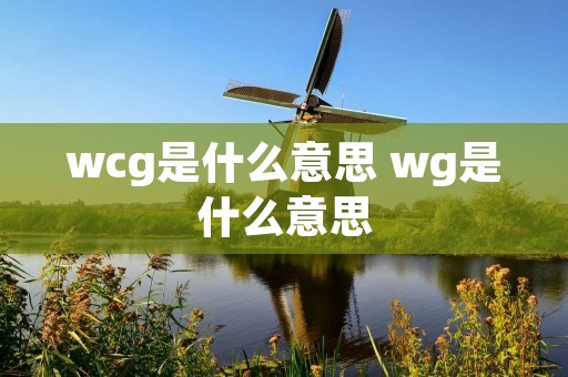 wcg是什么意思 wg是什么意思