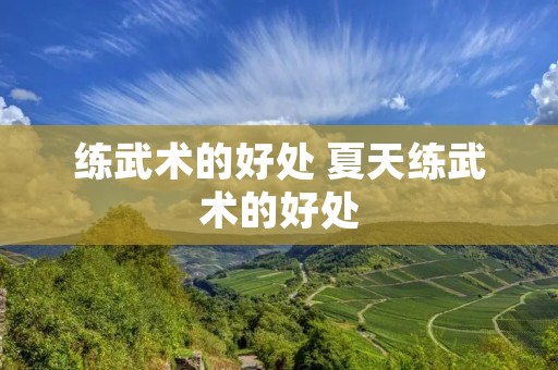 练武术的好处 夏天练武术的好处