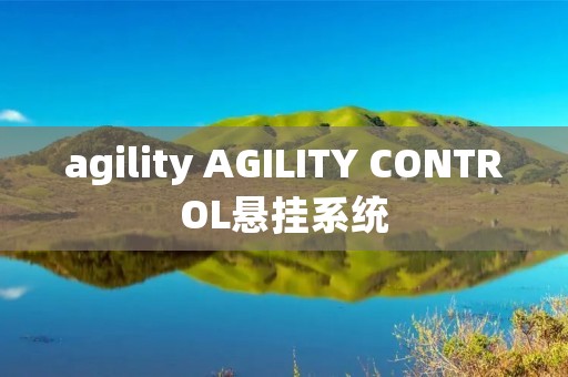 agility AGILITY CONTROL悬挂系统