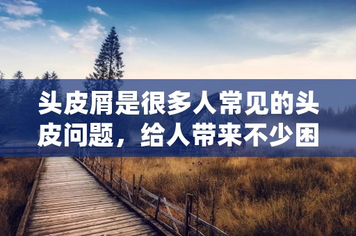 头皮屑是很多人常见的头皮问题,给人带来不少困扰和尴尬。那么,怎样去除头皮屑呢?下面为大家介绍一些有效的方法。