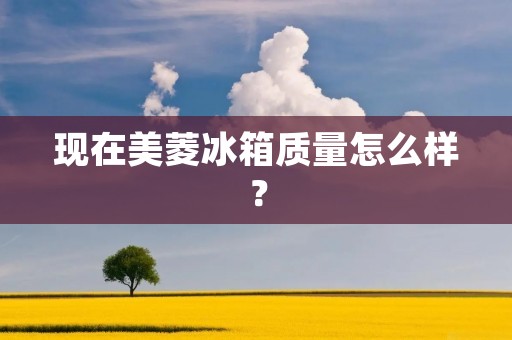 现在美菱冰箱质量怎么样？